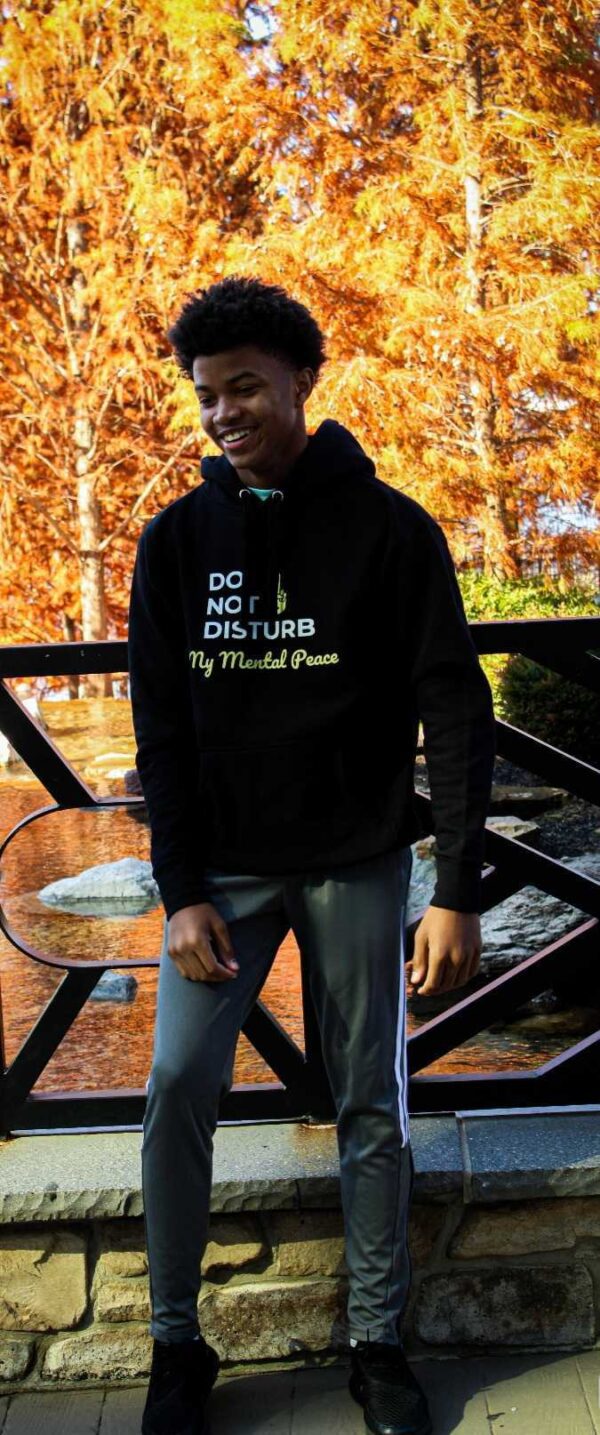 Do Not Disturb Unisex Hoodie - Image 5